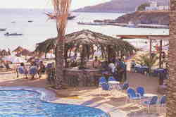 Mykonos Palace hotel in Mykonos island - Beach bar
