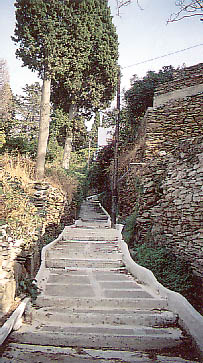 batsi2.JPG (42703 bytes)