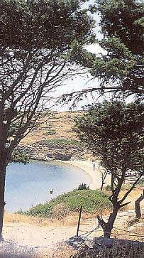 batsi3.JPG (44234 bytes)