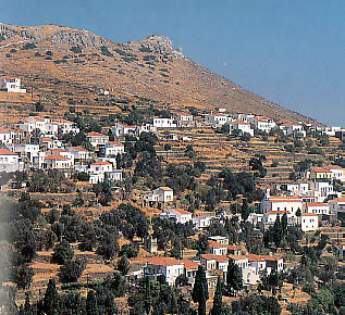 kohilou.JPG (56828 bytes)