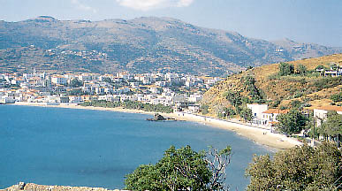 niborio.JPG (37698 bytes)