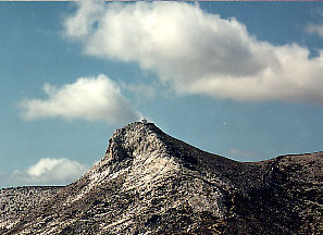 zas1.JPG (28484 bytes)