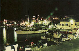 nixta.JPG (22165 bytes)