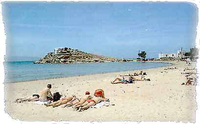 elizabeth-beach(1).jpg (13338 bytes)