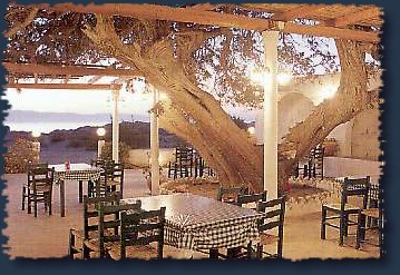 Paradisos Tavern.