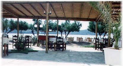 asteri-rest.jpg (30299 bytes)