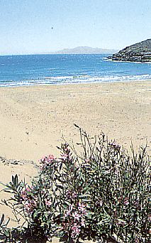 tinos3.jpg (29103 bytes)